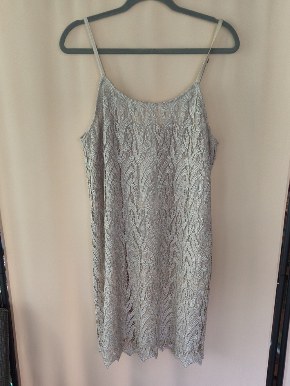Alice + Olivia Beige with Metallic Silver Sparkle Lace Slip Mini Dress Size L/G